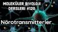 Proteinlerin Sınıflandırılması ile ilgili video