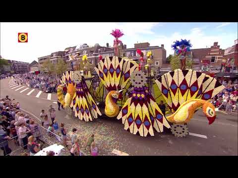Dommelkant | Corso Valkenswaard