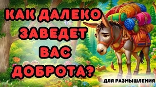 Осел, Который Был Слишком Добрым! | Басня о Границах