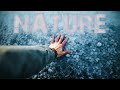 Nature I Chillstep Mix #22