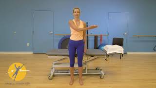 Shoulder upper extremity D1 flexion - extension AROM