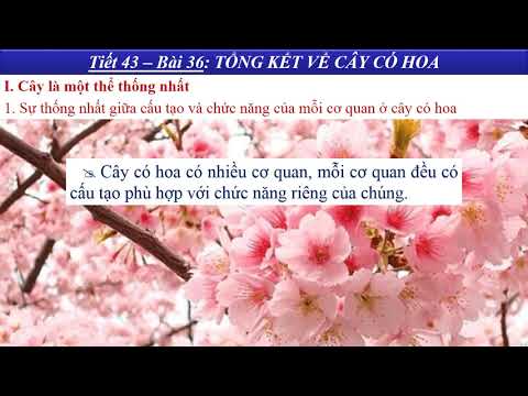 Nội dung học trực tuyến môn Sinh Lớp 6