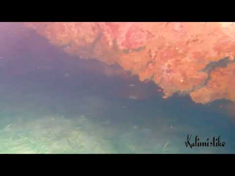 Inmersion de buceo