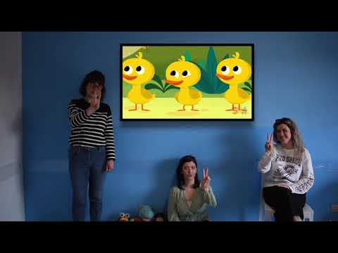 Teddies: five little ducks with IH British School