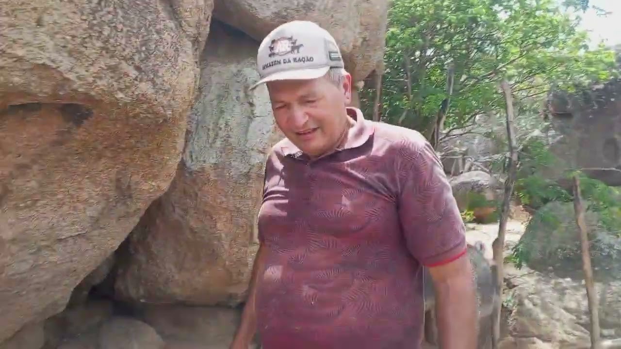 Colocando comida para os porcos e fazendo limpeza e mostrando os porcoquinhos na Granja Sitio Jati 