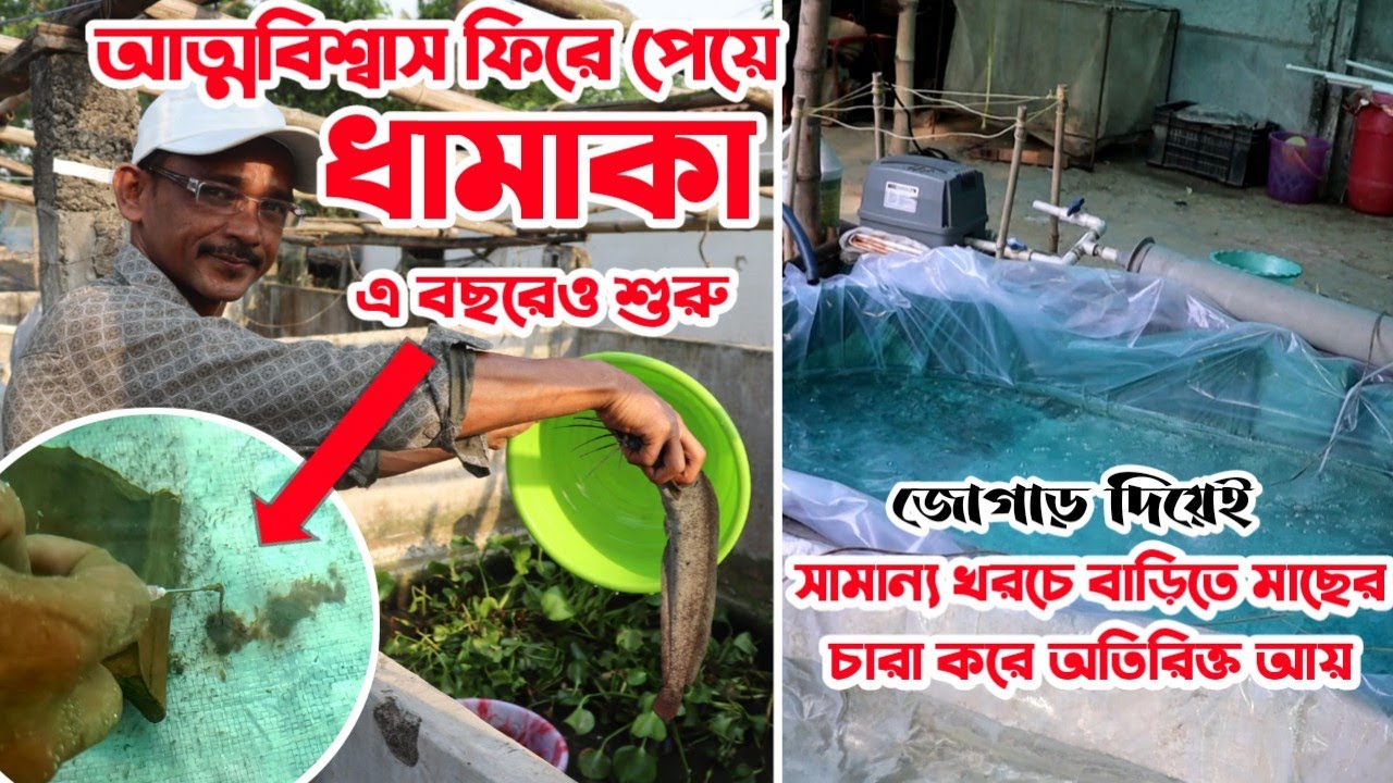 স্বপনদা আবার বললেন কি করে কই শিঙি ব্রিডিং করলেন এবং সফলতা পেয়ে বিশাল হ্যাচারির দিকে যাচ্ছেন