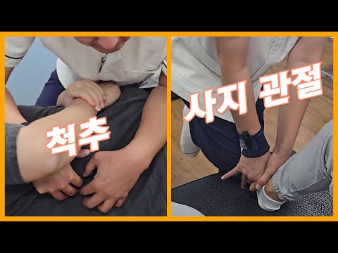 카이로프랙틱 교육 <strong>척추</strong> 사지 관절 <strong>교정</strong> Chiropractic Crack ASMR