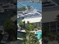 The view in Miami is beautiful ✨💜 #automobile #musicbusiness #poolparty #lifeisbutadream
