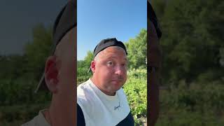 #видео #блог #подпишись
