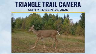 Tomahawk Trail Camera Sept 7 to 26, 2026