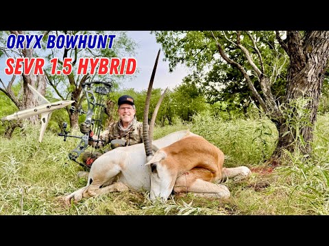 SEVR 1.5 HYBRID vs SCIMITAR ORYX: REAL WORLD BROADHEAD TEST #bowhunt #elitearchery