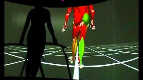 HBM NationalGeographic Xvid