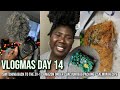 VLOGMAS Day 14 | Switching Cameras, Vacuum Storage Bags For Traveling, Salmon For Dinner