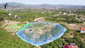 Không gian xanh 8766m2 tại Nam Dương, Lục Ngạn  .NHÀ ĐẤT LỤC NGẠN TAZALAND