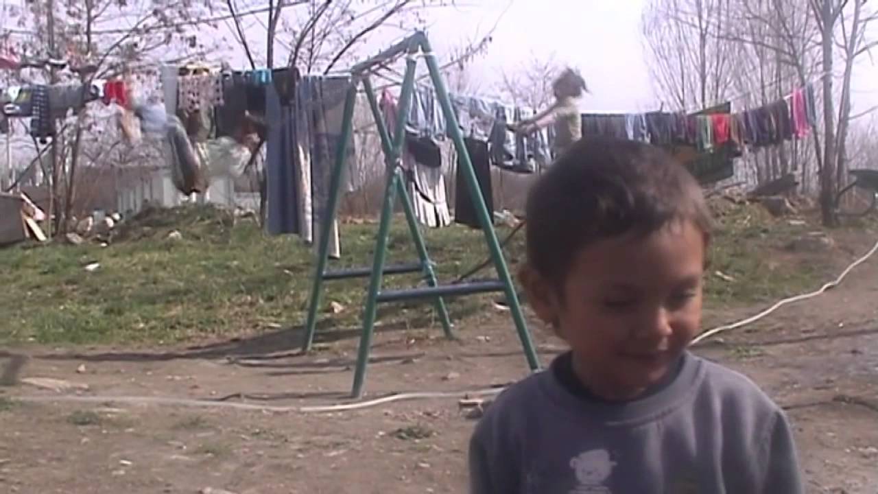 Kontenerowa polityka antyromska w Serbii - YouTube rozbratorg