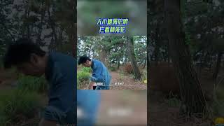 #嗨放派 大小姐保护鸡拦着#林依轮  #嗨放派3 #havefunS3