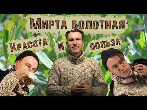 Video: Voskovnitsa