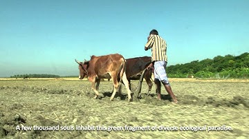 Enabling Green (edotco