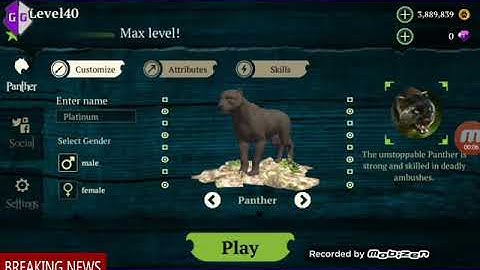 Panther Online || The Tiger || The Cheetah || Range Hack 100% Working