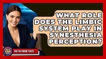 What Role Does The Limbic System Play In Synesthesia Perception? - Did Ya Know This