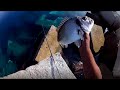 commentate e vi regalo l&#39;action cam per tutte le tecniche di pesca che preferite,orata!