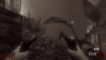 Blacks Ops 2 Zombies (First time Keyboard and Mouse)