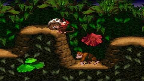 Donkey Kong Country: Level 5: Barrel Cannon Canyon