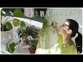 桐島かれん at Home #3  観葉植物と暮らす 〜冬のお手入れ〜 Caring for Houseplants in Winter