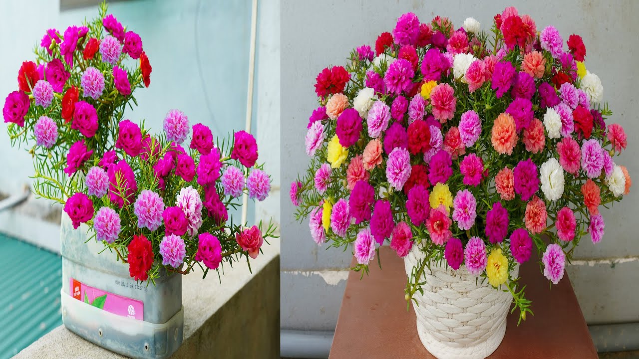 Преобразите свой сад с помощью потрясающих горшков для роз из мха | Преображение сада своими руками