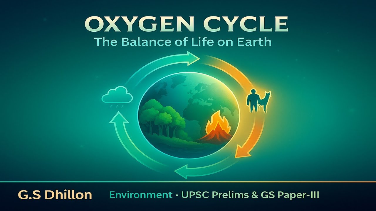 E14- Oxygen Cycle - Biogeochemical Cycles || UPSC Prelims & Mains ...