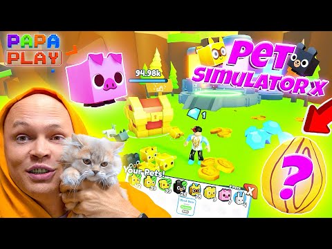 Видео: ЗАЛИП в Pet Simulator X