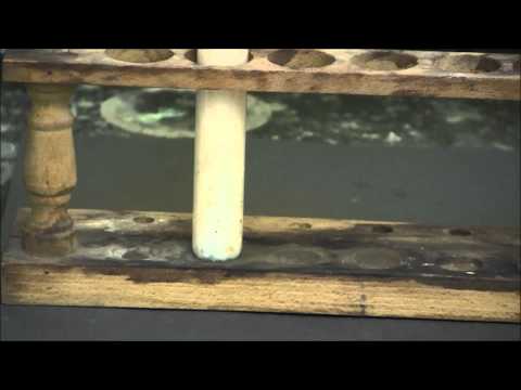 Zinc reacts with concentrated nitric acid