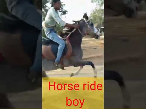 Horse ride in Boy Vs girl #