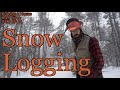Building a House from Trees SE8 EP 14 Snow Logging