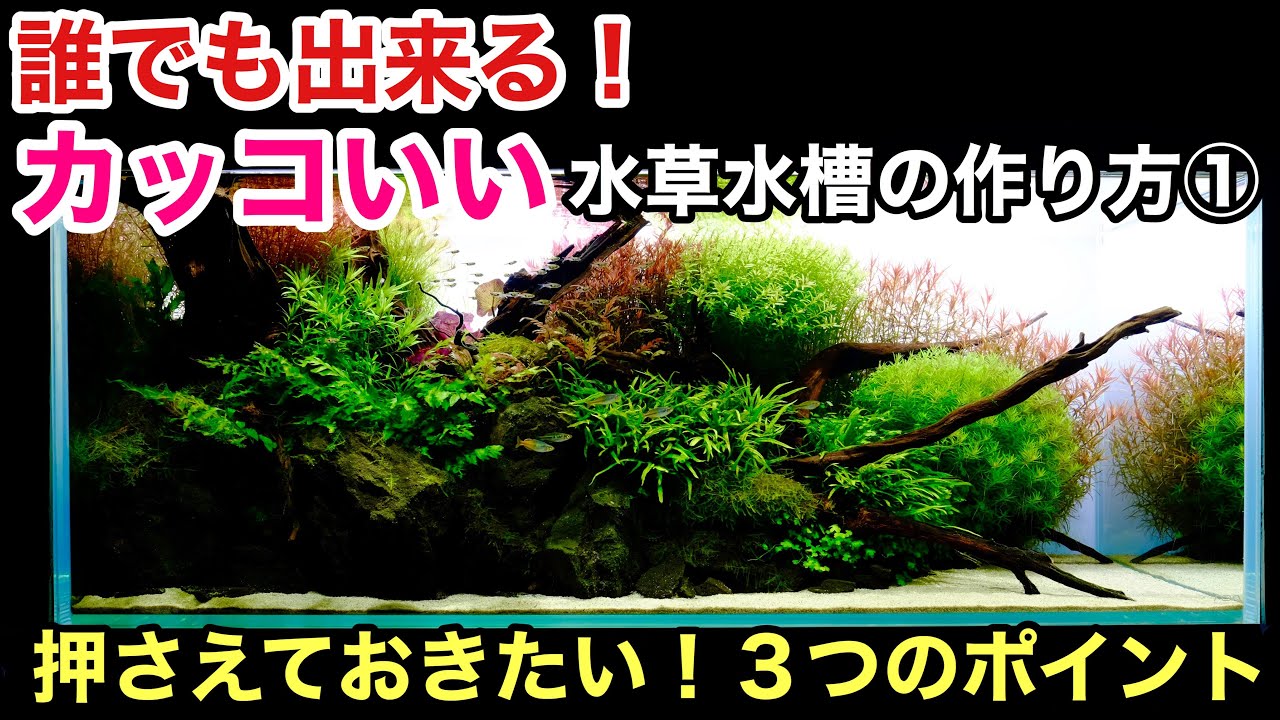 かっこいい水草水槽の作り方 構図編 Adaネイチャーアクアリウム立ち上げ初心者 流木 石組みレイアウトデザイン 構図 凸型構図 凹型構図 Youtube