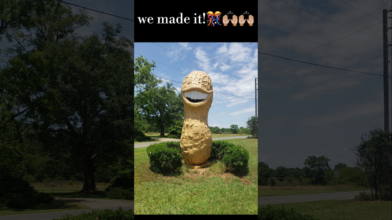 Why Peanuts #grow #growing #food #garden #gardening