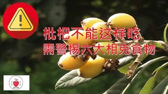 枇杷 Youtube