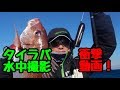 タイラバ水中撮影　【水深100ｍのバイトシーン】