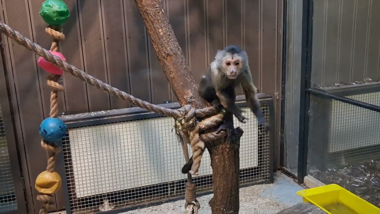 10 января 2026 г.