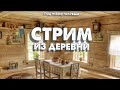 Стрим из деревни