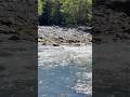 美しい川、空、森Beautiful river, sky and forest  #asmr #nature #riversounds#healing #癒し