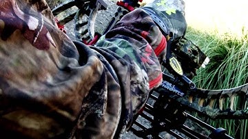 Bow Maintenance Checklist - Pete