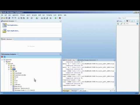 052b Subversion Branching Working with Remote directories