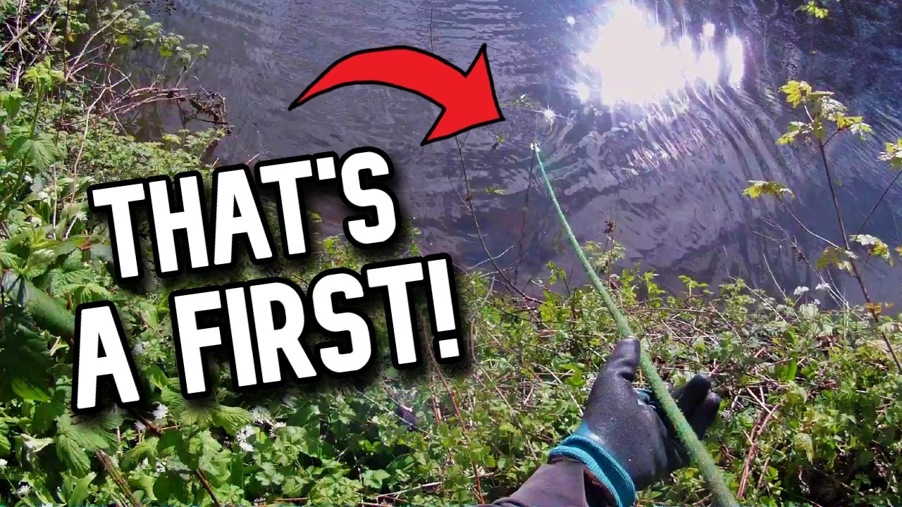 It Started With One… Then We Found a Whole Batch