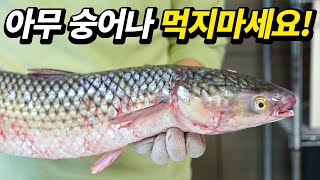 Disgusting but cheap and delicious mullet, Eat mullet know the type!