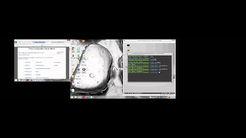Hello World with C in a Linux Terminal