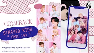 【COMEBACK】 STRAYED KIDS (스트레이 키즈) — CASE 143