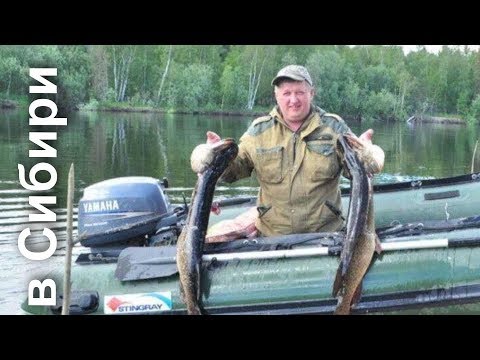 Самый уловистый способ ловли щуки! Как ловить щуку!