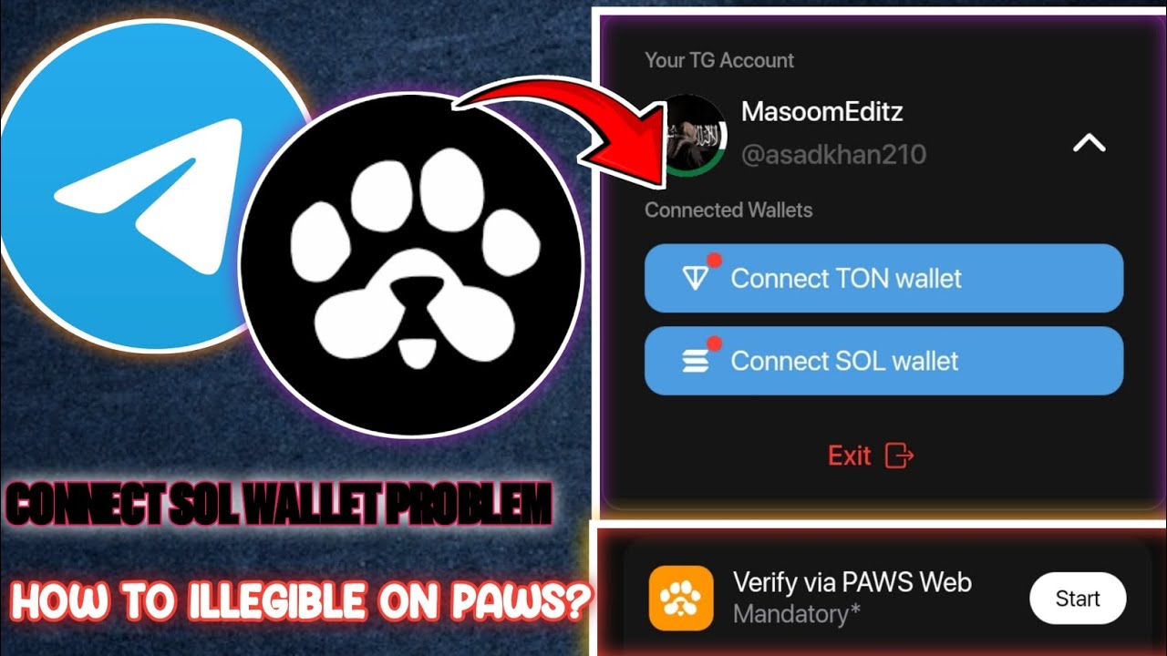 How to Connect Your Paws Wallet to Solana