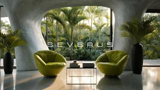 SEVERUS - VIBE CODING Session: Elegant Minimalist Beats to Stay Focused